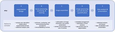 A Systematic, Open-Science Framework for Quantification of Cell-Types in Mouse Brain Sections Using Fluorescence Microscopy